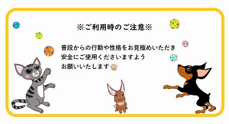 楽天市場 送料無料 ペット用おもちゃ 犬用おもちゃ 猫用おもちゃ トイ ペット用品 ペットグッズ ボール ラグビーボール オレンジ フルーツ ストレス発散 運動不足解消 コミュニケーション Plus Nao