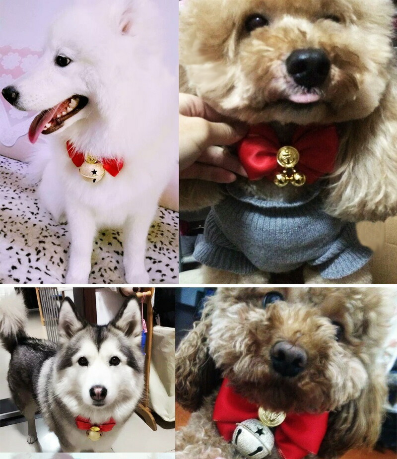 送料無料 チョーカー 鈴付き アクセサリー 首輪 ネックレス リボン ボウタイ サテン ゴールド 犬用 ペット用品 猫用 蝶ネクタイ 送料無料 チョーカー 鈴付き アクセサリー 首輪 ネックレス リボン ボウタイ サテン ゴールド 犬用 ペット用品 猫用 蝶ネクタイ