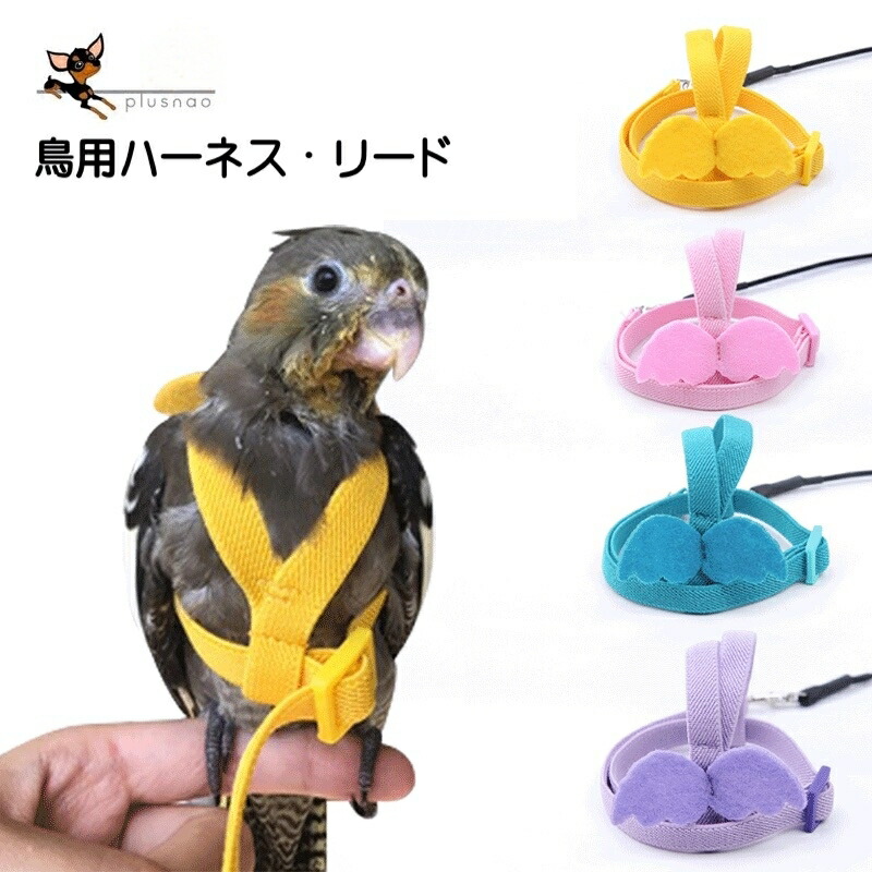 楽天市場】送料無料 ペット用 小動物用 鳥の巣箱 三角ハウス ベッド 寝床 吊り下げ式 やわらかい 柔らかい 吊り下げフック付き 吊り下げタイプ  小鳥用 バード インコ ハムスター リス さんかく 鳥用品 ペットグッズ ペット用品 可愛い かわいい ツートンカラー : Plus Nao