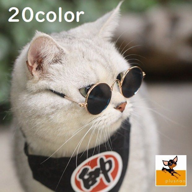 楽天市場 ねこちゃん サングラス 犬 猫 ペット 眼鏡 めがね おしゃれ 仮装 丸眼鏡 ネコ アクセサリー インスタ映え コスプレ パーティ オーロラ イエロー グリーン ブルー レッド ブラック シャイン インナー 下着 雑貨のgain Mart