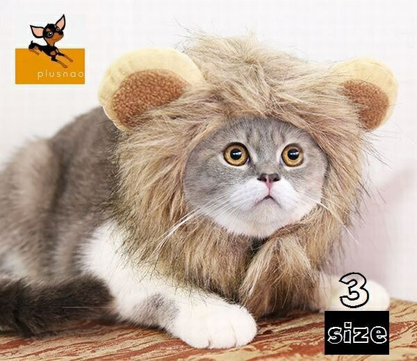 楽天市場 送料無料ペット用帽子 ペット コスプレ ライオン ハロウィン 仮装 イベント パーティー 犬 猫 イヌ ネコ ワンちゃん ネコちゃん 可愛い かわいい ペットグッズ 面白グッズ Plus Nao