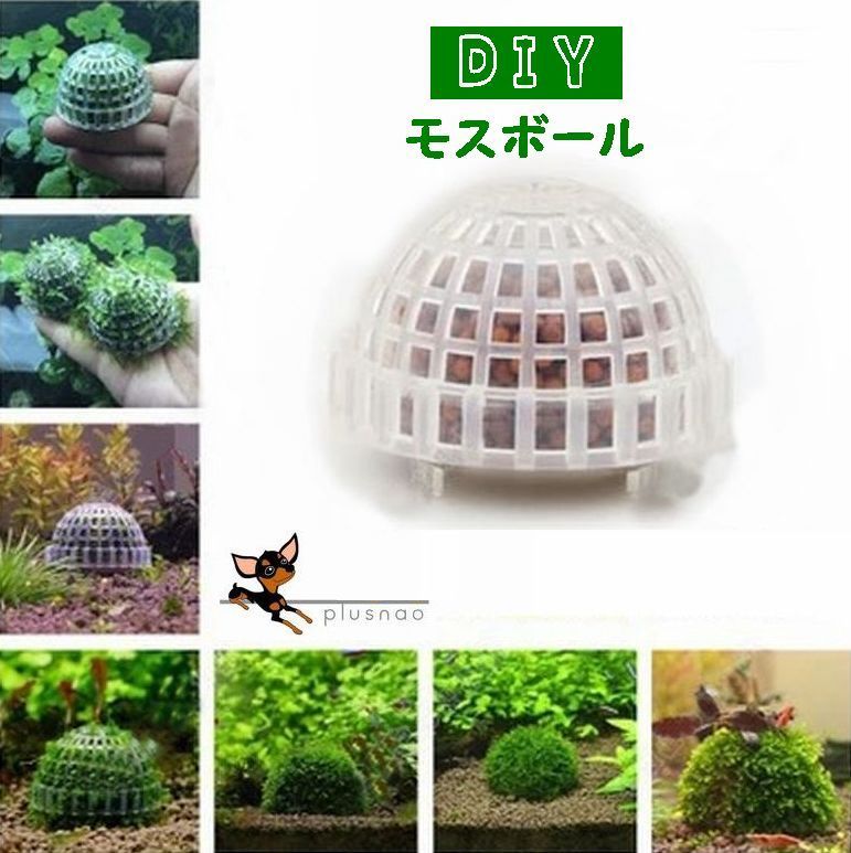 楽天市場 送料無料 モスボール 水草 コケ Diy 熱帯魚 エビ シュリンプ メダカ 金魚 水槽レイアウト アクアリウムグッズ 水槽用品 レイアウト用品 装飾 ペット用品 Plus Nao