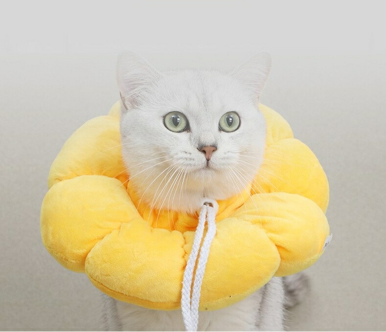 送料無料 エリザベスカラー ペット用品 猫用 犬用 ドーナツ型 傷舐め