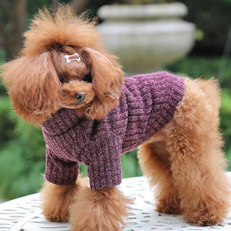 本物の 送料無料 ペットウェア セーター ニット 犬服 猫服 犬用ウェア ドッグウェア ハイネック リブ 袖あり 可愛い おしゃれ お散歩 記念写真 インスタ映え ギフト プレゼント ワンちゃん ネコちゃん イヌ ネコ キャット ドッグ Bellofestas Com Br