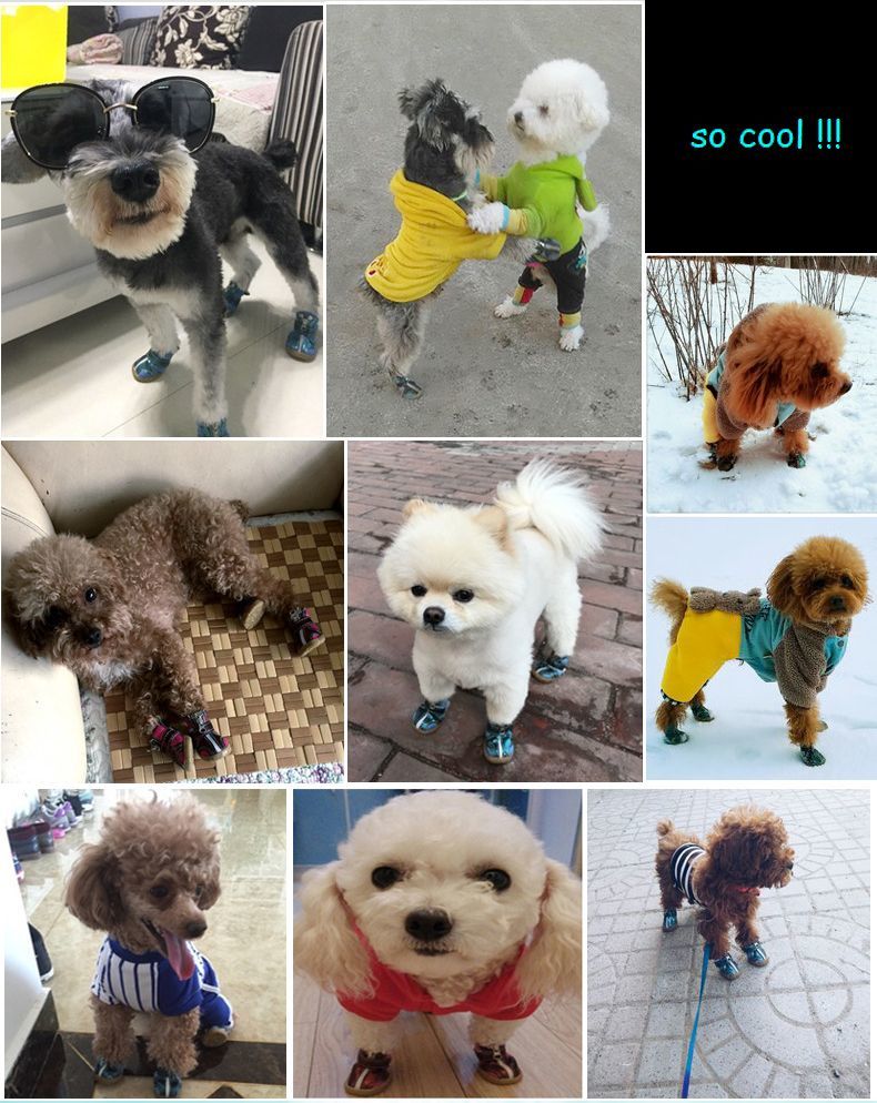 新品 送料無料 ペット用 靴 シューズ ブーツ ドッグシューズ 犬の靴 犬用靴 ドックウエア 犬 愛犬 ペット ペット用品 犬用品 ジップアップ 散歩 怪我 ケガ 防止 かわいい おしゃれ Www Saintmarkschool Org