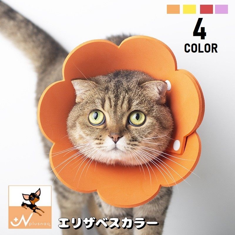 楽天市場】送料無料 エリザベスカラー ソフト 猫用 犬 ペット用品