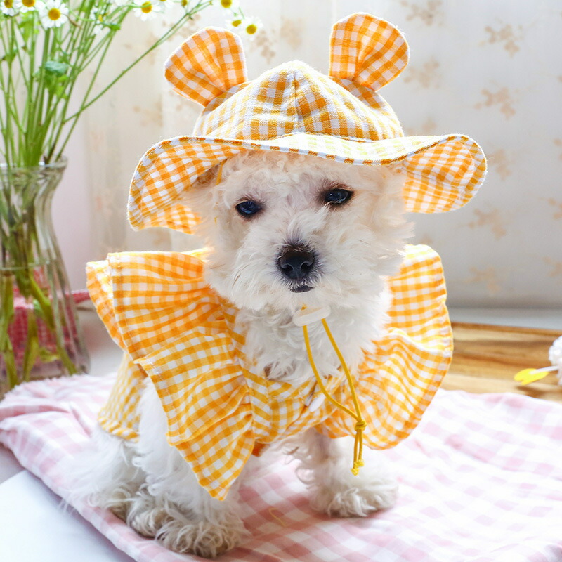 大流行中 送料無料 ペット用帽子 クルーハット 単品 犬用 小型犬 ドッグ ぼうし ギンガムチェック うさ耳付き 格子 あご紐付き 調節可 日よけ 日除け 紫外線対策 お散歩 おしゃれ かわいい お出かけ おめかし イヌ いぬ 猫 ネコ ねこ キャット Whitesforracialequity Org