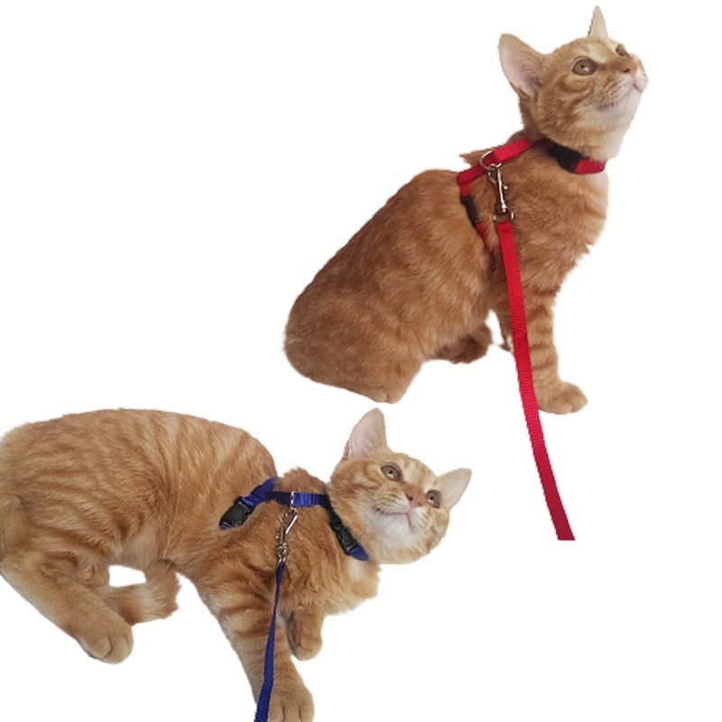 市場 送料無料 ペットグッズ ペット用品 お散歩グッズ 猫用 リード ハーネス リーシュ 2点セット 散歩紐