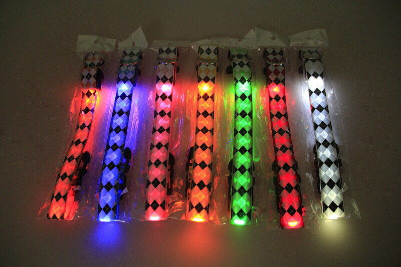  光る首輪 犬 小型犬 中型犬 首輪 光る 散歩 夜 LED ライト レインボー USB 充電式 サイズ調節可能 ひかる キラキラ ソフト 柔らかい やわらかい 安全 犬の首輪 ペット かわいい 可愛い おしゃれ