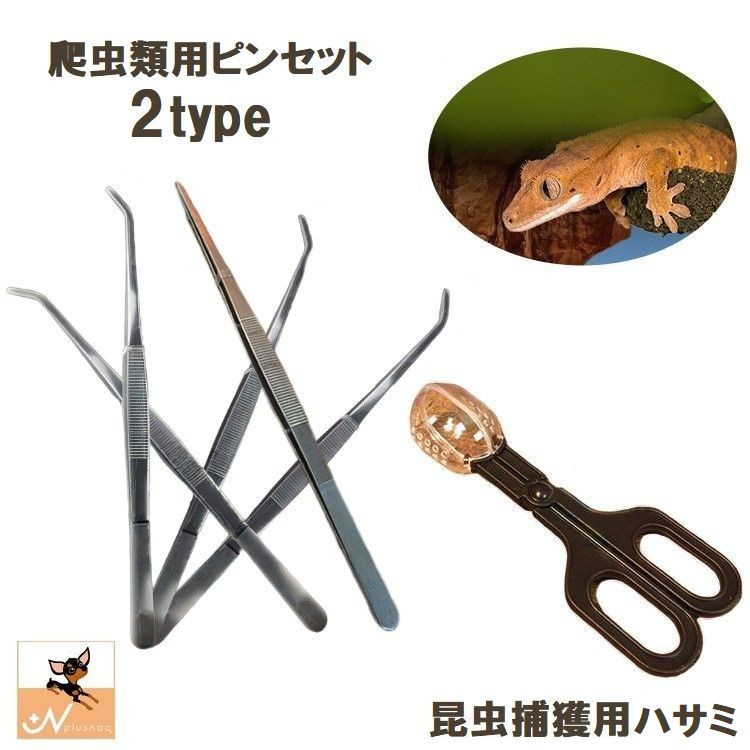 楽天市場】送料無料 ピンセット ハサミ式 爬虫類用 ペット用 餌やり 虫