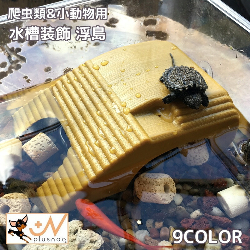 楽天市場】亀の浮島 ハシゴ 隠れ家 シェルター かめ カメ 隠れ場所