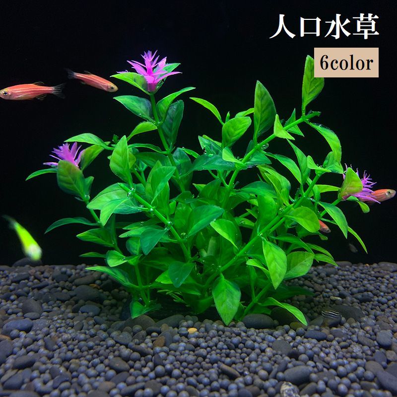 楽天市場】送料無料 人工水草 水草 グリーン アクアリウム 熱帯魚