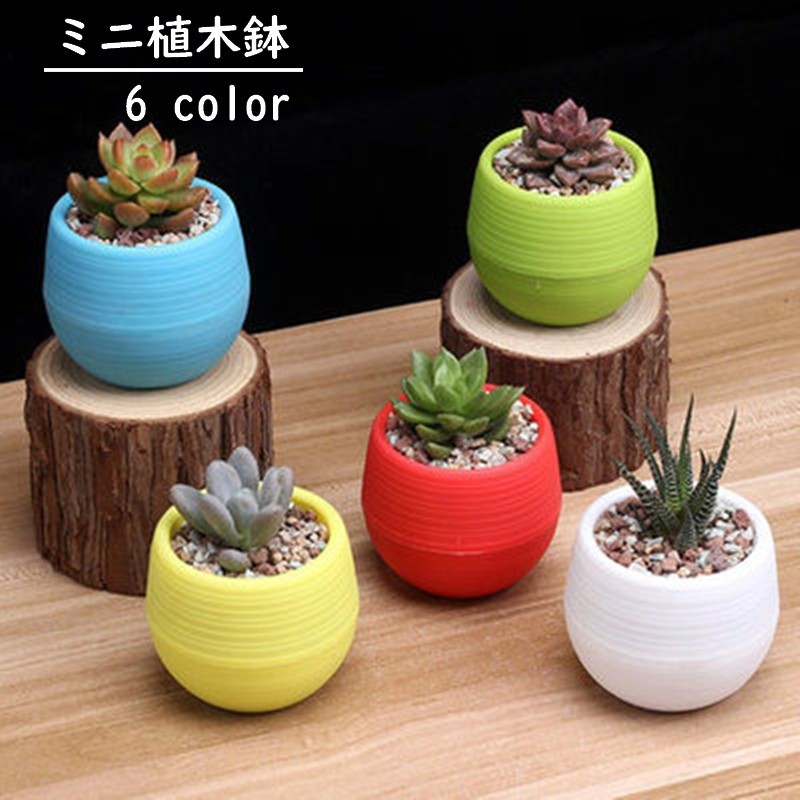 年末のプロモーション大特価! 楽天市場】送料無料 植木鉢 フラワーポット 生活雑貨 鉢・プランター用品