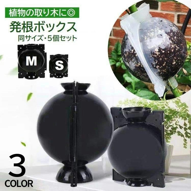 楽天市場】送料無料 発根ボックス 5個セット 取り木ボール 植物 繁殖