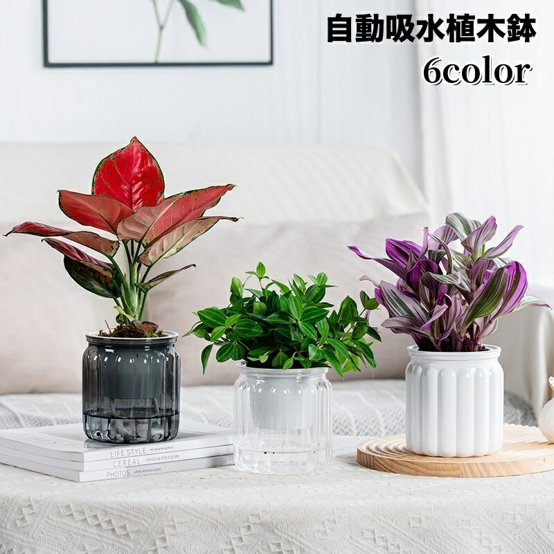 鉢・プランター nikujaga 楽天市場】送料無料 植木鉢 自動給水 プランター 室内栽培 貯水