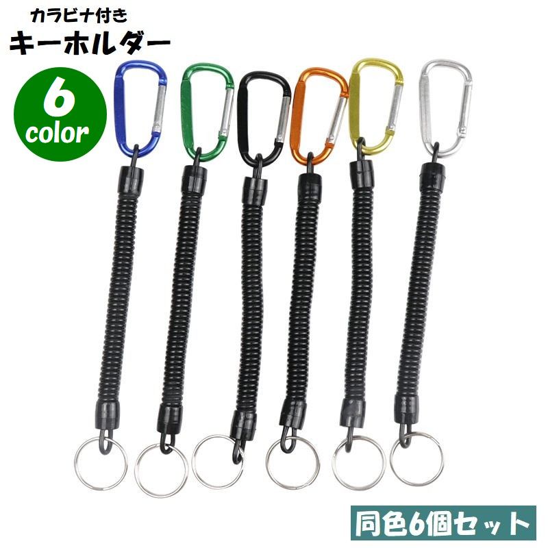 楽天市場】送料無料 キーホルダー 6個セット キーチェーン
