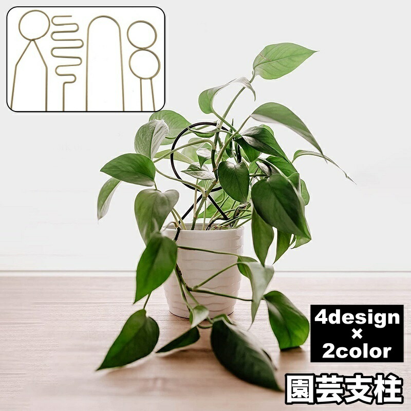 楽天市場】送料無料 園芸支柱 植物支柱 ガーデニング 園芸用品 家庭