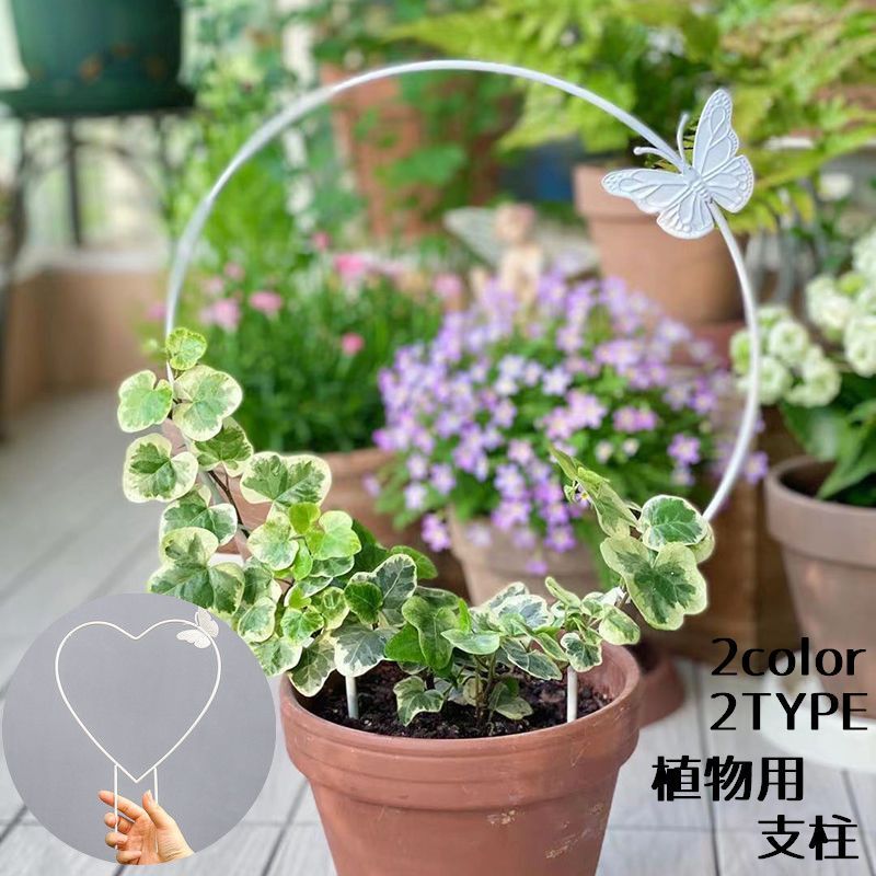 楽天市場】送料無料 植物支柱 園芸支柱 ガーデニング プランター 植物