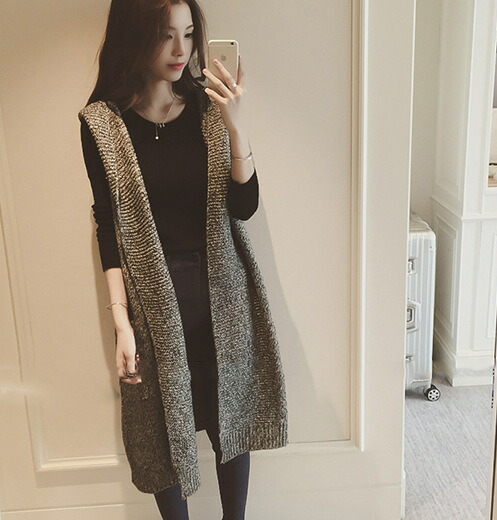 楽天市場 送料無料 ニットベスト ロングベスト ロング丈ベスト フード付きベスト パーカーベスト レディース 秋冬 トップス 前開き ノースリーブ ニットカーディガン ニットコート 大人 シンプル カジュアル 羽織り ゆったり Plus Nao