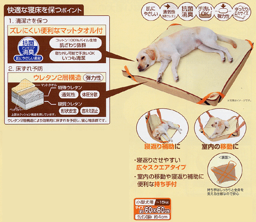ペティオ 老犬介護用マットタオル付床ずれ予防ベッド 中型犬用 送料無料 Schwimmbad Delphine De ペティオ 老犬介護用マットタオル付床ずれ予防ベッド 中型犬用 送料無料 Schwimmbad Delphine De