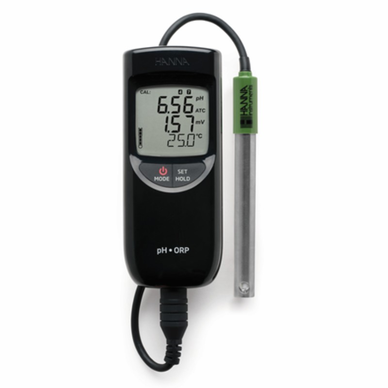 携帯型pH/ORP/℃計 HI 991003D pH計 ORP計 位置づける 位置づける ハンナ カ施 代引不可