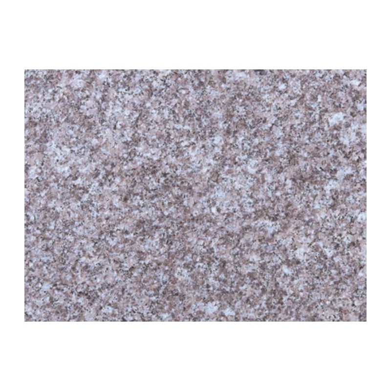 石材タイル 御影石平板 G309 10枚 400 400 13 228 E 中国産 荷受リフト必須 建築用壁材 床材 ドリーム壁材 アミ 代引不可 個人宅配送不可 若者の大愛商品