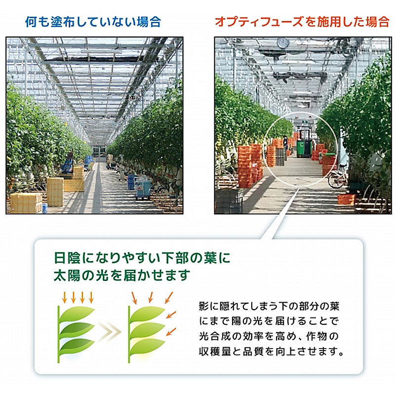 ビニール家使い道 天日伝播剤 水溶性ペイント オプティフューズ 15kg 温室用塗料 99 天然崩壊 ヨーロッパ Sudelac カ施 用度引き不可 Geo2 Co Uk