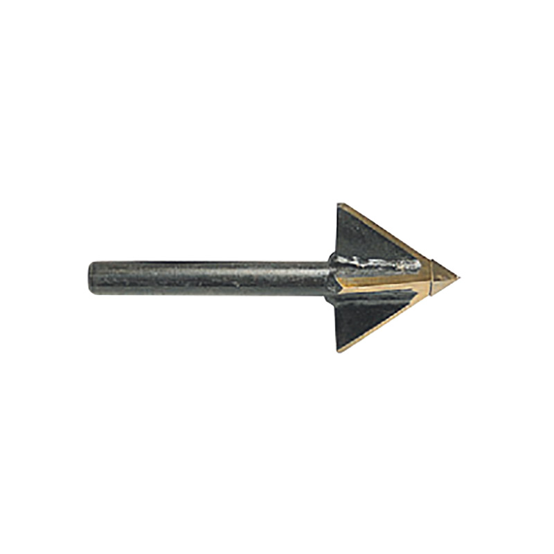 sppn0200_mori.jpg