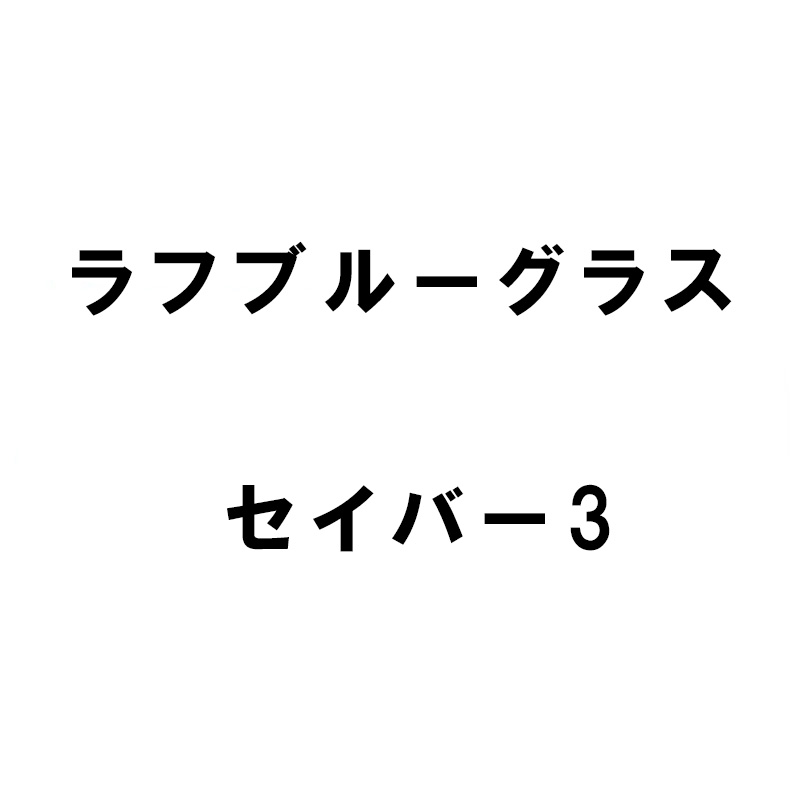 【4/30までエントリーで最大100%Pバック】種 2kg ラフブルーグラス セイバー3 雪印種苗 米S 代引不可 (登録品種名:セイバー)