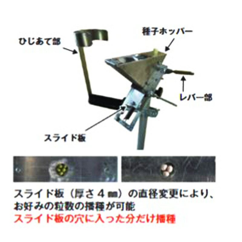 楽天市場】アクリルプレス タキイワンウェイセルトレイ 200穴 専用