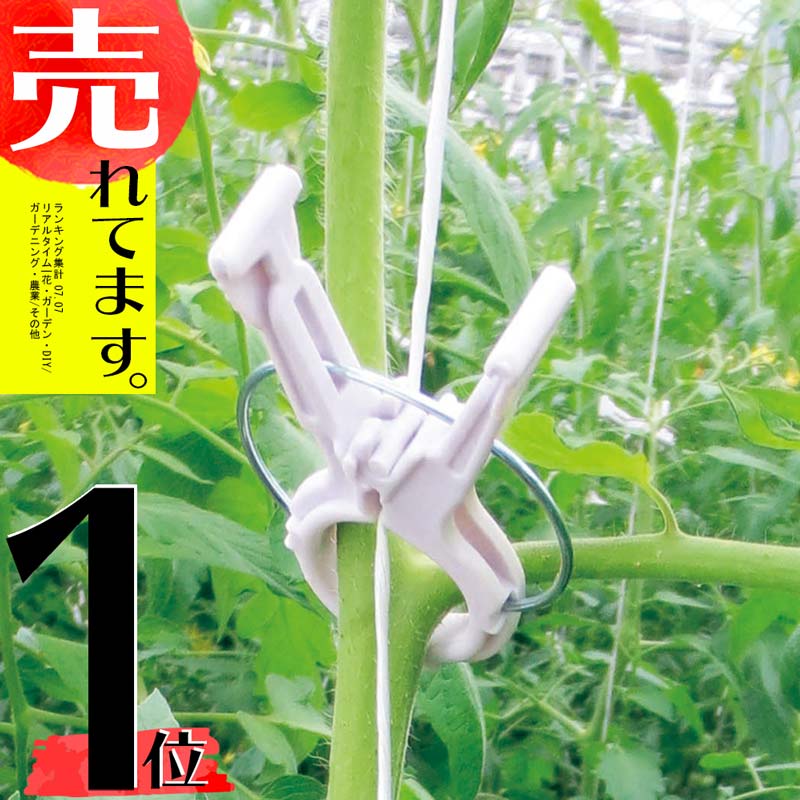 安心の実績 高価 買取 強化中 00個 0個 10袋 くきたっちアルファ 細紐用 パープル 薄紫 Ka P0 誘引クリップ 誘引資材 誘引器具 トマト ナス パプリカ 栽培 シーム タ種 Z Rutanternate Kemenkumham Go Id
