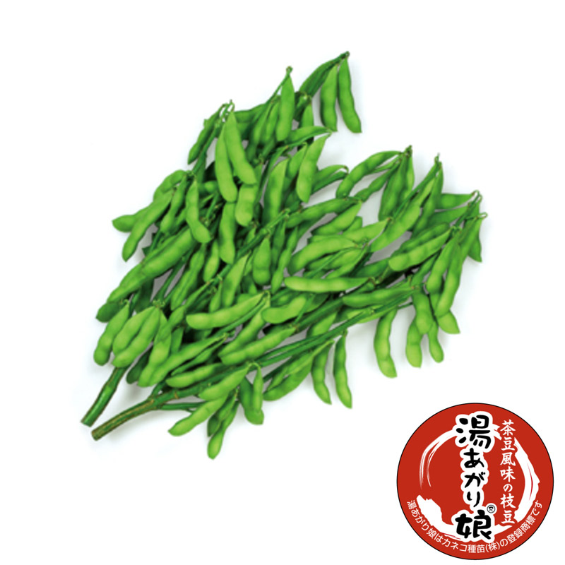 正規認証品 新規格 花卉類用 肥料 花吹雪 ファイトクローム社 1l 果菜