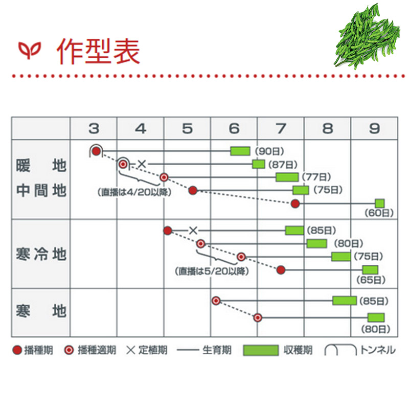正規認証品 新規格 花卉類用 肥料 花吹雪 ファイトクローム社 1l 果菜