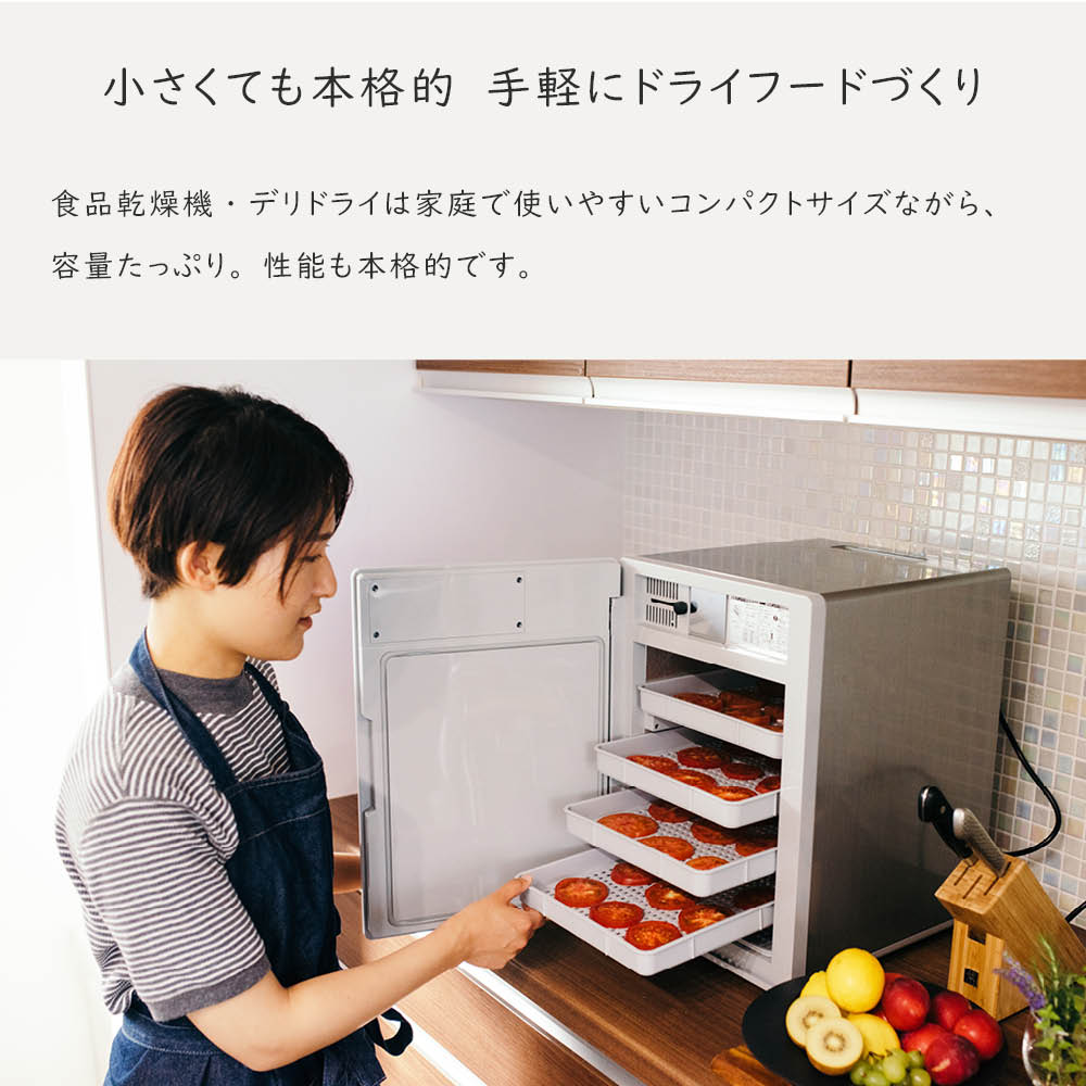 食品乾燥機 ドラッピーmini 100V 家庭用 業務用 DSJ-mini