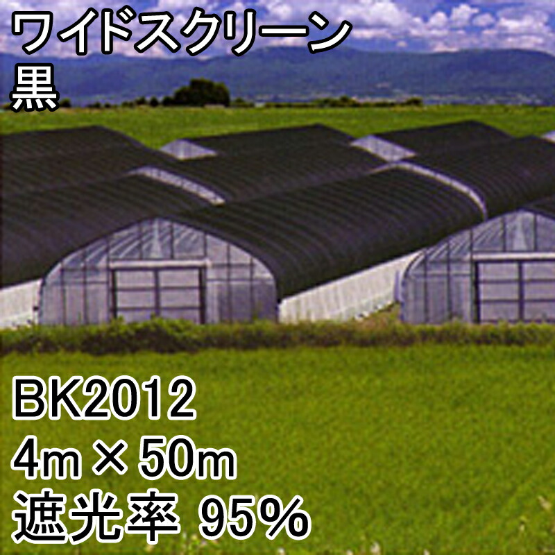 1等最大限度100％尖んがりうしろ側社会的運動6月も遣り遂げる！