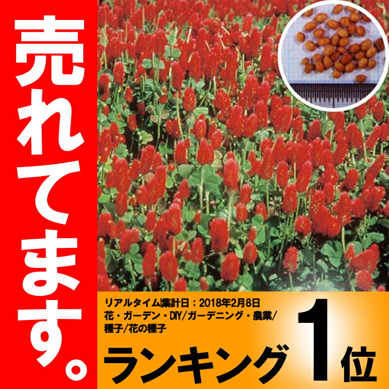 ダイズシストセンチュウ被害軽減に最適 種 10kg クリムソンクローバ くれない 緑肥 景観作物 遊休農地の有効活用に 赤クローバー 雪印種苗 米s 代引不可