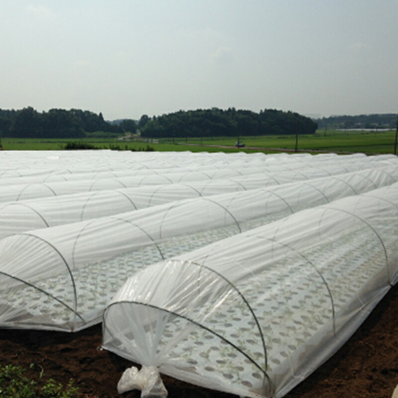 新発売の 楽天市場 1500mm 100m 白 遮光率25 ラウンドクール 遮光ネット 寒冷紗 Jx Anci タ種 代引不可 農業用品販売のプラスワイズ アウトレット送料無料 Lexusoman Com