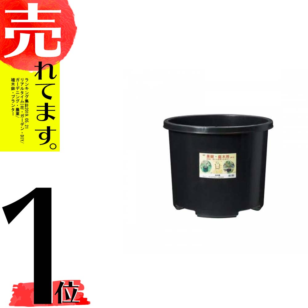 10個 Npポット 60 墨ぞめ さし渡し515 4hmm 60l 生木 庭木用むき 頭蓋骨 プランター Dicプラスティック 月日ad Cannes Encheres Com