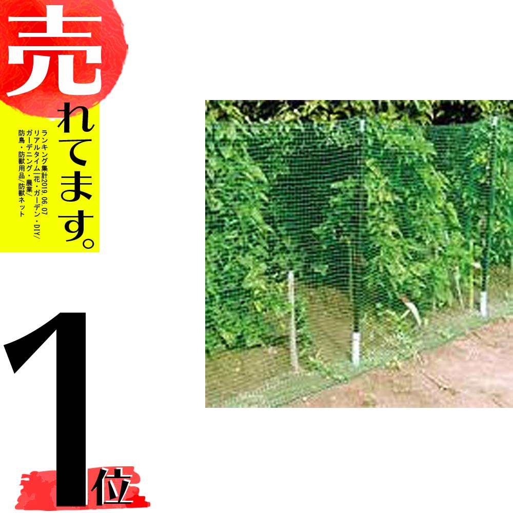 防獣ネット 16mm目合 1m×20m シNZ