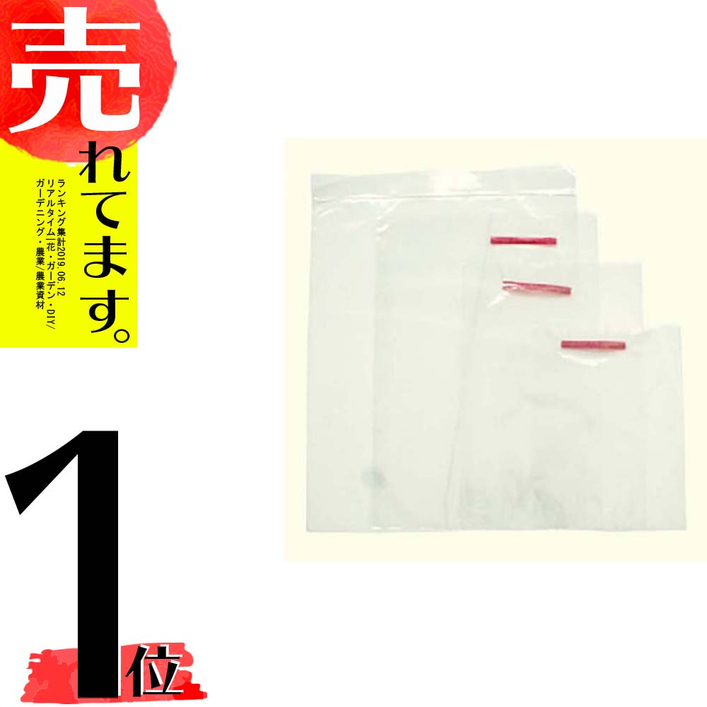 驚きの値段 楽天市場 3000枚 Bikoo 果実保護袋 一重袋 Lサイズ 250 350mm 美孔 び孔 ぶどう りんご 等 果実袋 タlpd 農業用品販売のプラスワイズ 超激安 Www Lexusoman Com