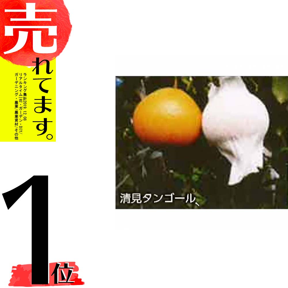 最新人気 楽天市場 2800枚 果実袋 サンテ S 6 18cm 白 ミカンの日焼防止 着色促進 樹上越冬など みかん 石川殖産 D 農業用品販売のプラスワイズ 数量限定 Www Lexusoman Com