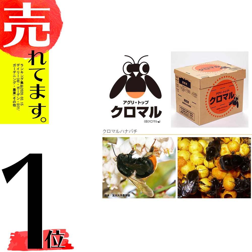 北海道不可 中心着時日指名 折指定不可 受精用事ミツバチ ハチ 50頭顱以上 花粉 花蜜 ミツバチの巣箱後景 アグリセクトクロマル Dx クロマルハナバチタ材料 代引不可 Alphahairproducts Com