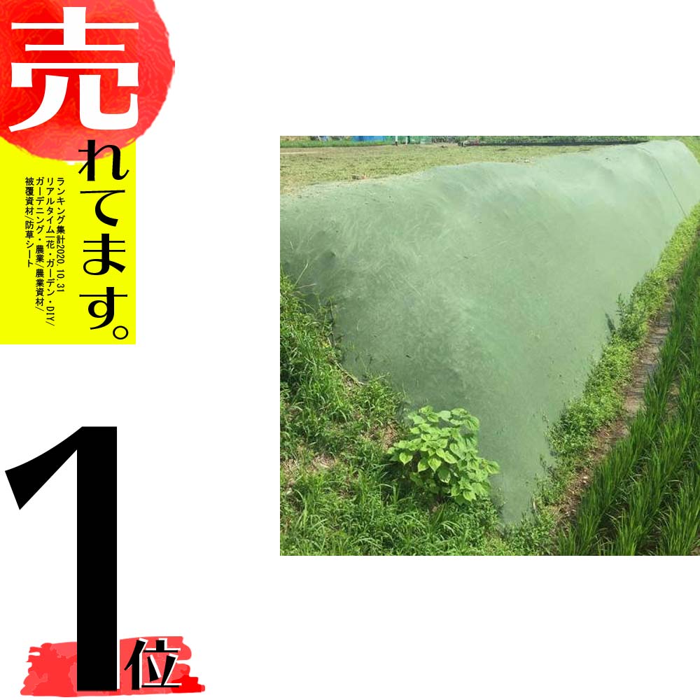 グリーン 北海道配送不可 大一工業 被覆資材 幅4 0m 25m巻 大一工業 薬も使わず草を活かして手間いらず ガーデニング 農業 雑草抑制おまかせネット 雑草対策 代引不可 農業用品販売のプラスワイズ グリーン 北海道配送不可 大一工業 被覆資材 幅4 0m 25m巻 大一工業 薬も使わず草を活かして手間いらず ガーデニング 農業 雑草抑制おまかせネット 雑草対策 代引不可 農業用品販売のプラスワイズ