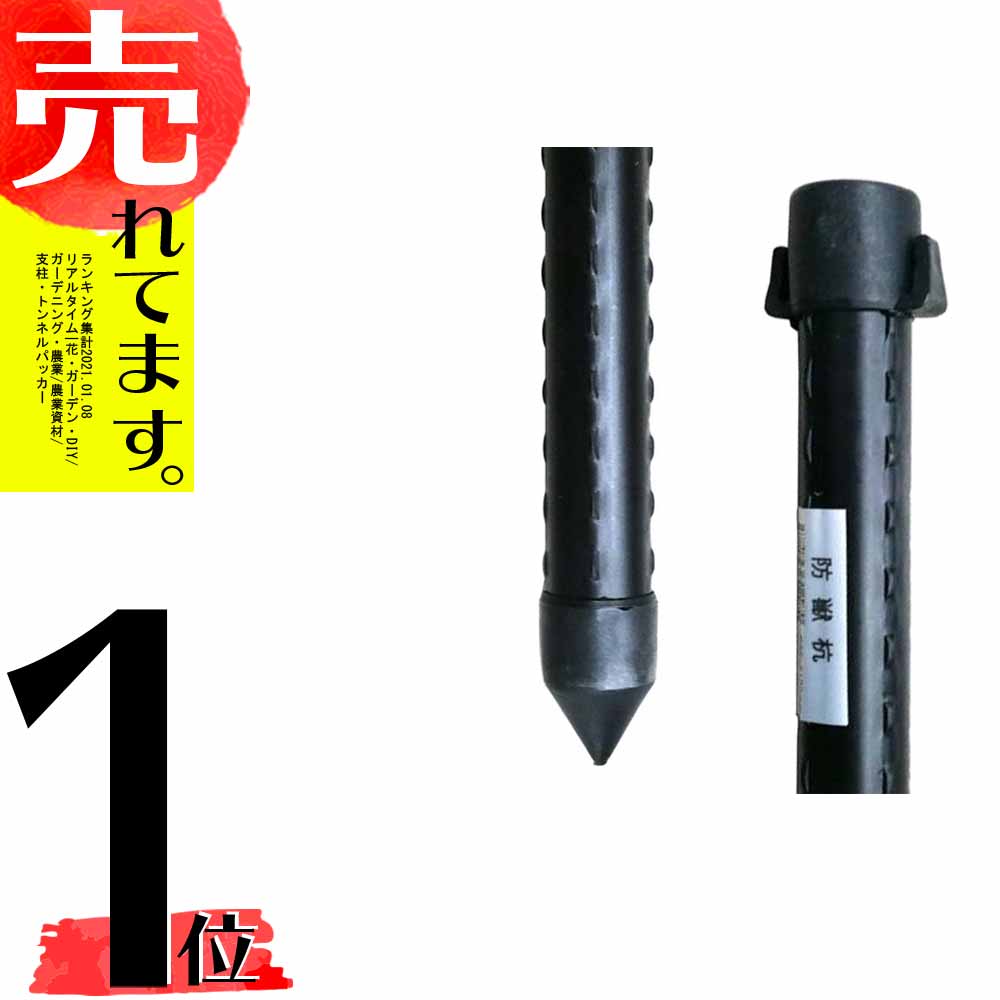 50付け根 ガードすること生物棒ぐい 直経mm 10mm シn直送 Brainboxacumen Edu Mm