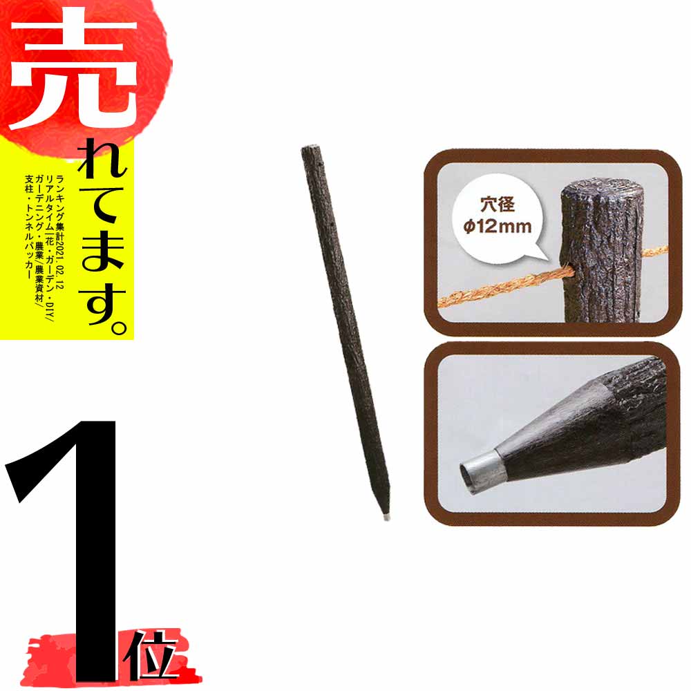 楽天市場】個人宅配送不可・北海道配送不可 5本 擬木杭 擬木くい150 直径 60×1500mm 3穴付 サンポリ 代引不可 :  農業用品販売のプラスワイズ