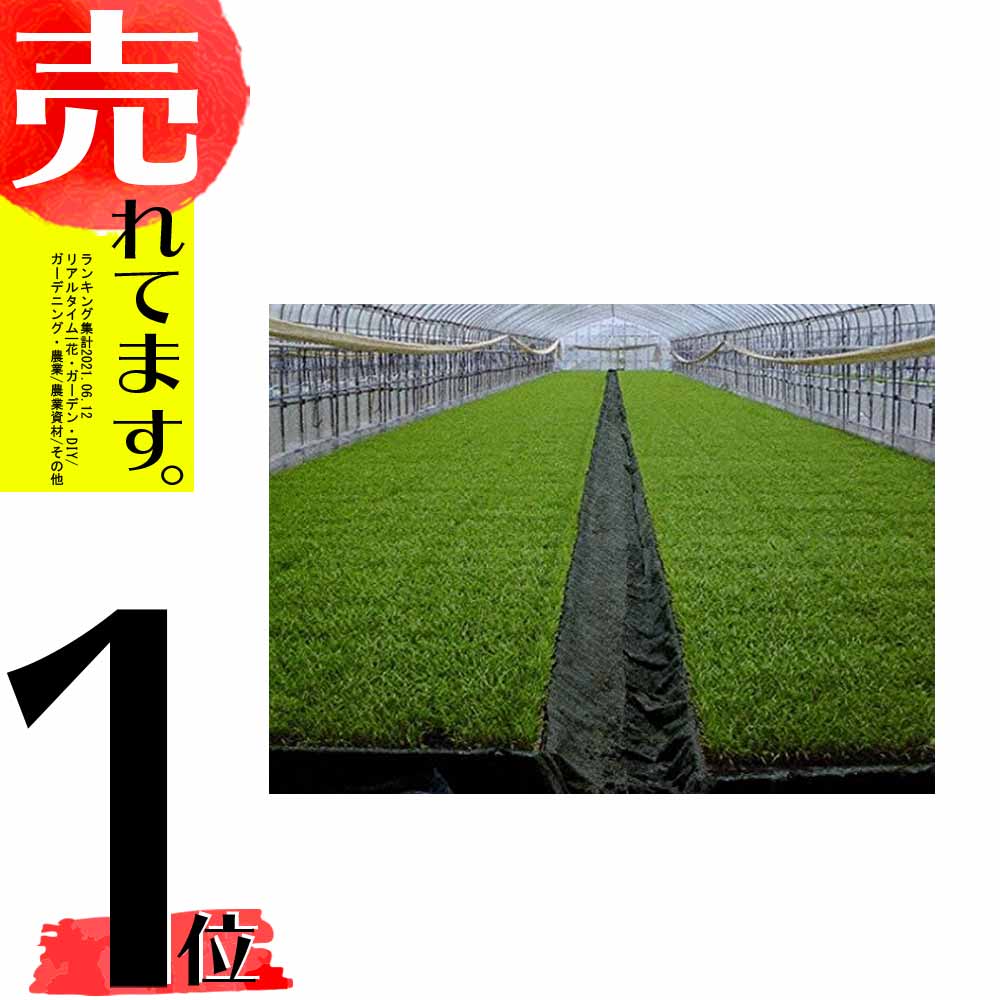 市場 ハイホワイトシルバー 育苗用シート 2.7×50m 水稲用 苗焼け防止