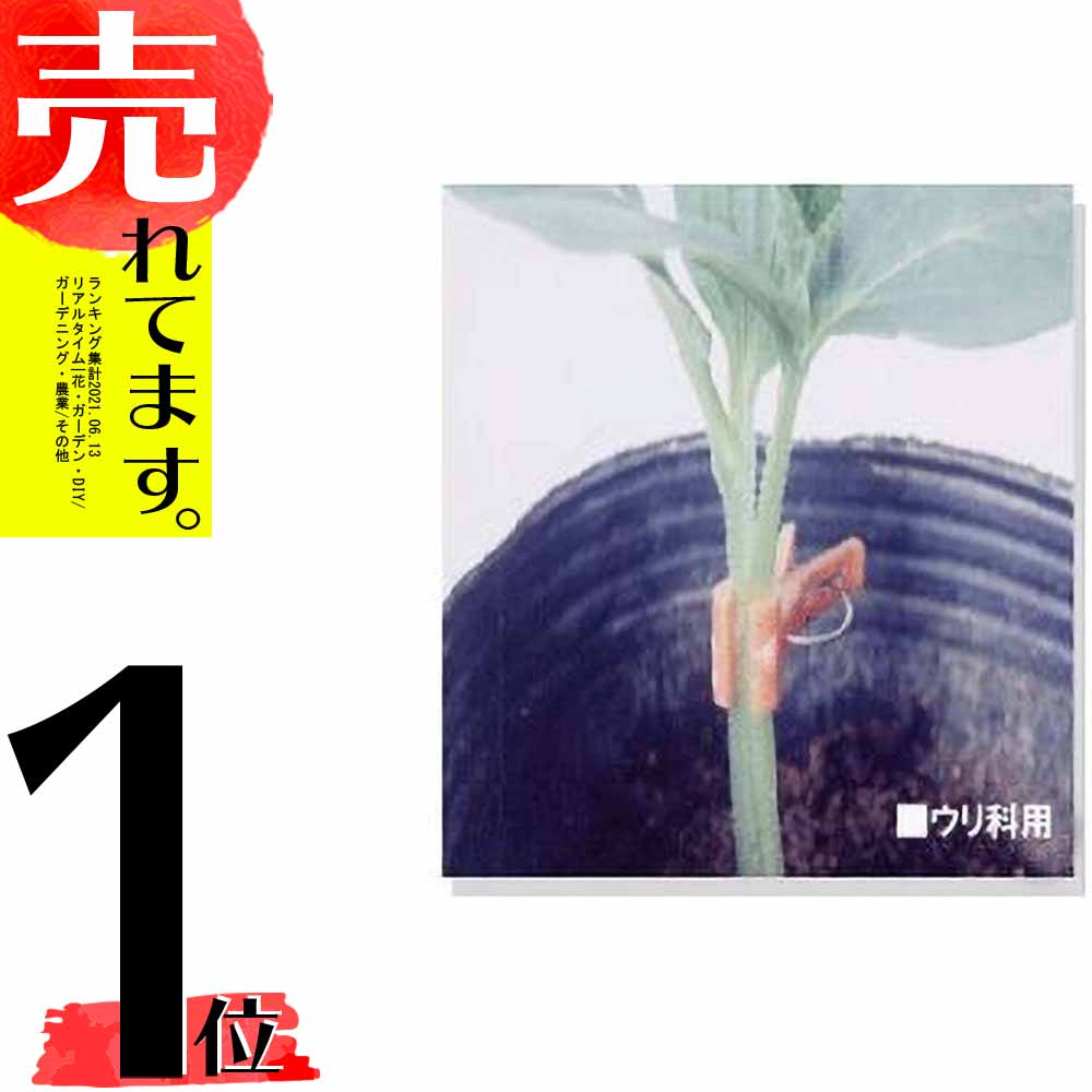 納期2週間程度 北海道配送不可 個 接木フレンド ウリ科用 オレンジ色 接ぎ木フレンド カ施 代引不可 Elteachermurcia Com