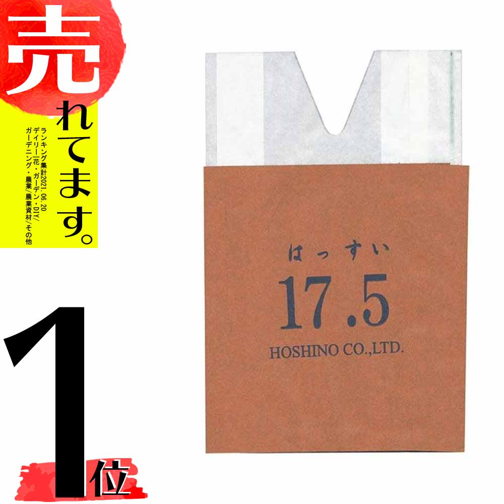 17589円 卓抜 2500枚 果実袋 ブドウ 大 205×300mm 止金入 ぶどう