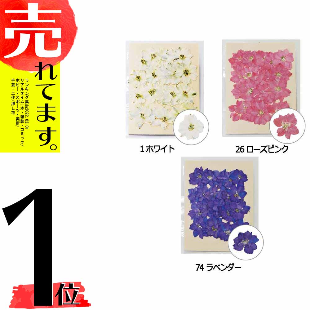 お花の保存用乾燥剤 3g 10個入 花資材 01 道具 73 0 取寄 ドライ