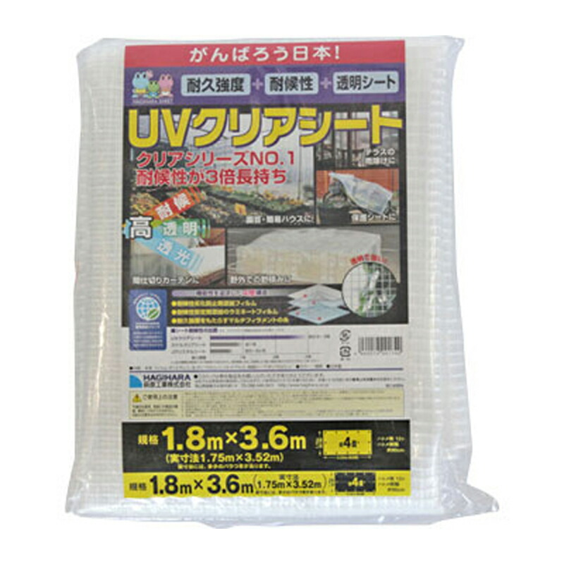 1等最高限度100％尖んがりうしろ側組織的運動6月も為し終える！